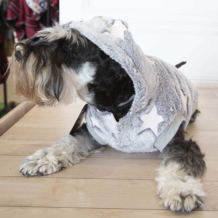 Outech Fleece Sudadera Gris con Estampado de Estrellas para perros, , large indicador imagen numero 2